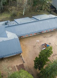 Suotorpankuja pläkkipelti